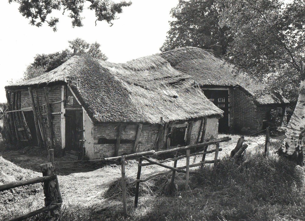boerderij van centinus boerma in Lhee on 31 May 1977.
Achterzijde van een ingezakte boerderij van de familie Centinus Boerma, Lheebroek 38 te Lheebroek. Neg. nr. 2809 fotonr. 10..